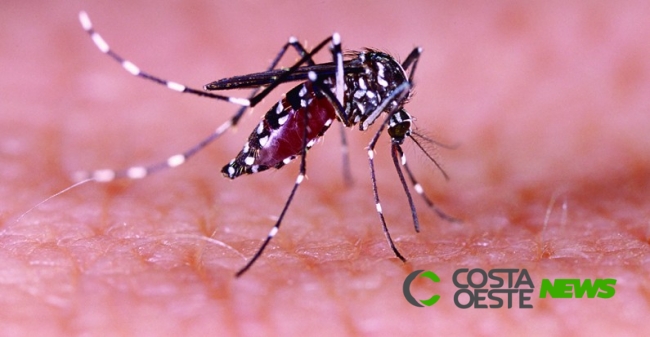 Reunião vai discutir estratégias de combate ao Aedes Aegypti para evitar epidemia em São Miguel 