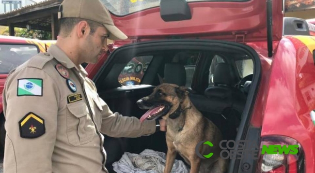 Paranaenses que ajudaram nos resgates em Brumadinho são homenageados