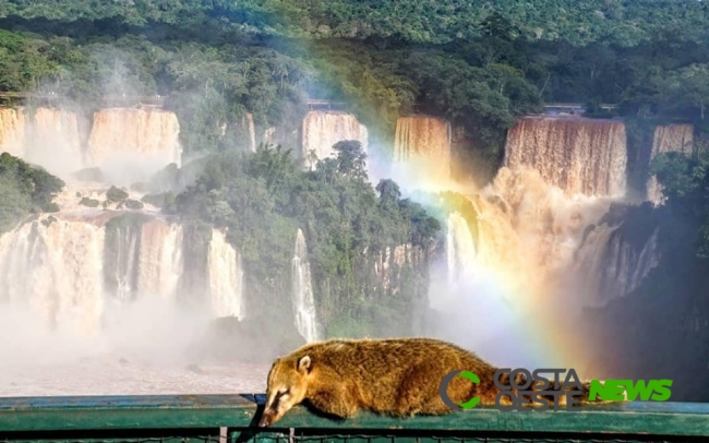 Fake News: Informação de que passarela das Cataratas está interditada é falsa