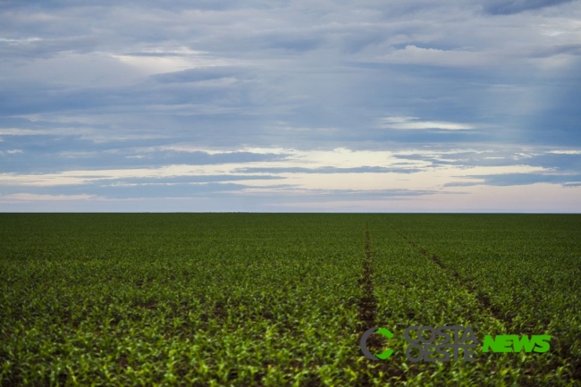 Marco regulatório para agrotóxicos é publicado no DOU