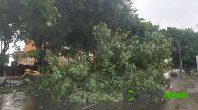 Pelo menos dez casas ficam destelhadas após temporal em Foz