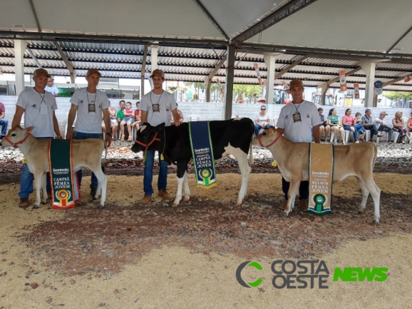 Julgamento de gado leiteiro e leilão movimentam a agropecuária na FEANIMAIS 2019 