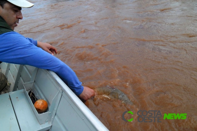 Pesca de espécies nativas está liberada a partir de hoje no Paraná