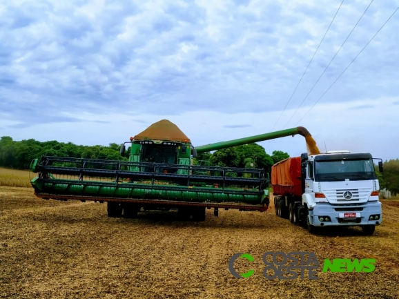 Produção da soja surpreende produtores da Região Oeste