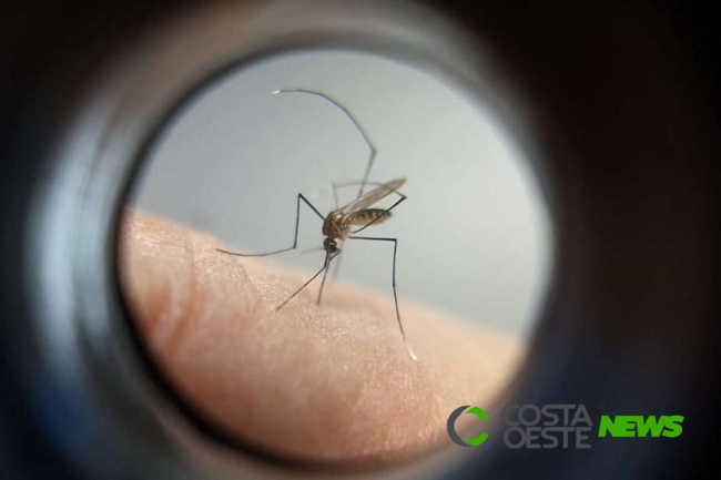 Epidemiologia confirma mais duas mortes por dengue em Foz