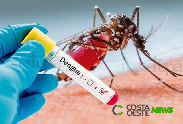 SESA finaliza período sazonal da dengue; veja os dados em Santa Helena e microrregião