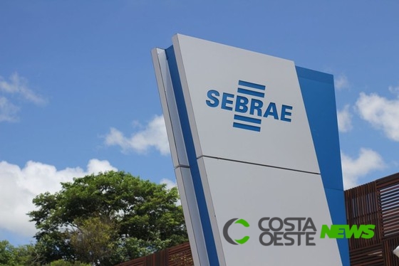 Pesquisa do SEBRAE mostra que pequenos empresários paranaenses se reinventam diante da crise do coronavírus