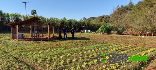 Câmara aprova auxílio emergencial para agricultor familiar na pandemia