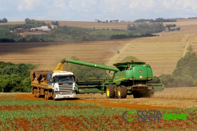 Safra de verão deverá chegar a 24,3 milhões de toneladas