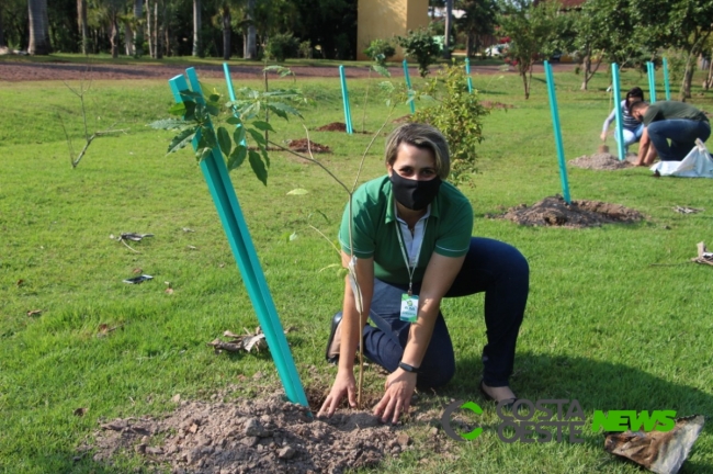 Plantio de árvores marca aniversário da Acisa; ação aconteceu nesta segunda em Santa Helena