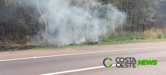 BR-277: fogo atinge vegetação às margens da rodovia na Serra do Mico