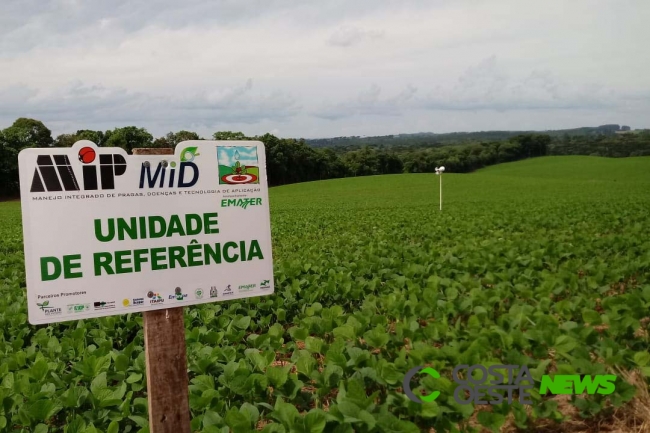  Instituto de Desenvolvimento Rural do Paraná inicia o serviço Alerta Ferrugem da soja