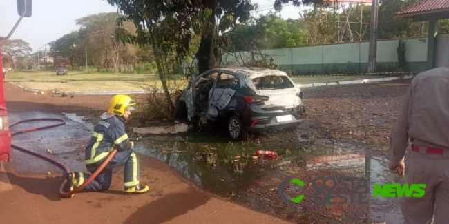 Motorista morre em acidente na Rodovia das Cataratas