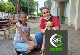 Créditos: Alessandro Kunhaski/Costa Oeste News