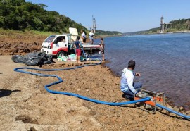 Em quatro meses, rios do Paraná são repovoados com 500 mil peixes nativos. Foto: SEDEST