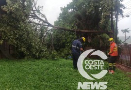 Foto: Costa Oeste News