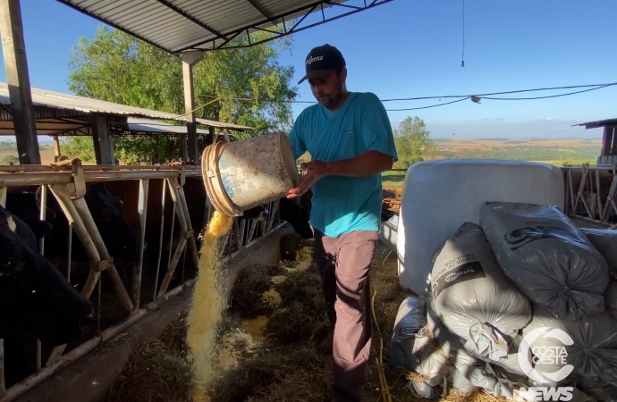 Agroforte está transformando a realidade dos produtores rurais em Itaipulândia