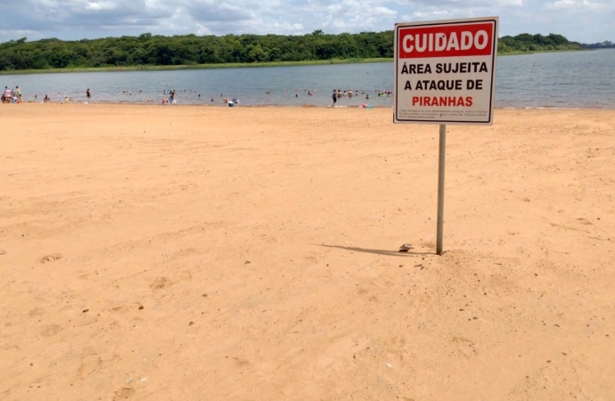 Bombeiros reforçam alertas sobre ataques de piranhas nas praias da Costa Oeste