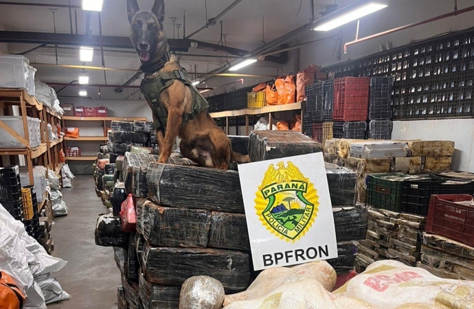 BPFRON apreende quase 6 toneladas de maconha em Santa Helena