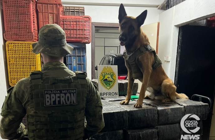 BPFRON apreende uma tonelada de droga em Santa Helena