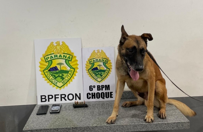 BPFRON e 6°BPM prendem dois homens com carregador e munições 9mm em Céu Azul