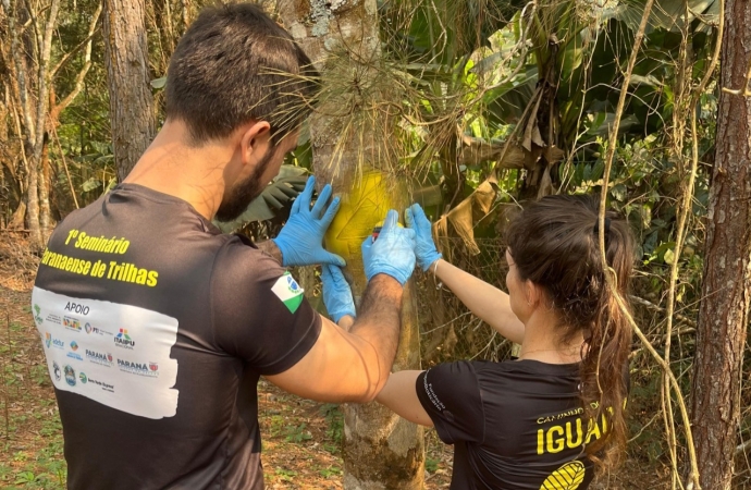 Caminhos do Peabiru em Foz do Iguaçu recebe sinalização rústica, próxima etapa é implantar placas turísticas