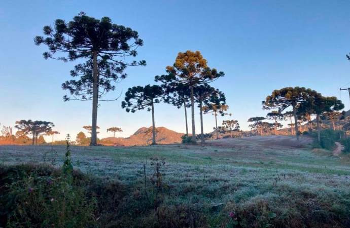 Com a chegada da primavera, IDR-Paraná e Simepar encerram Alerta Geada 2023