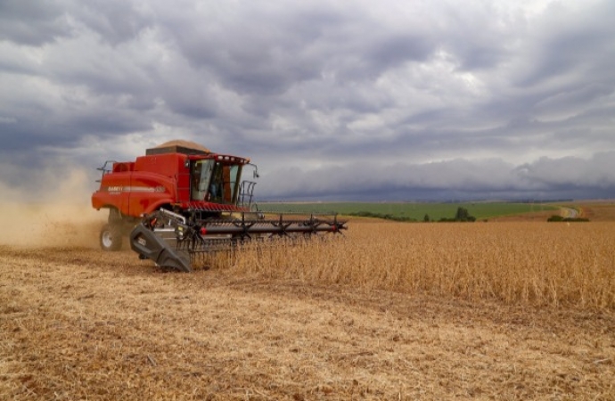 Com estiagem, previsão de safra da Agricultura aponta redução de 39% no potencial da soja