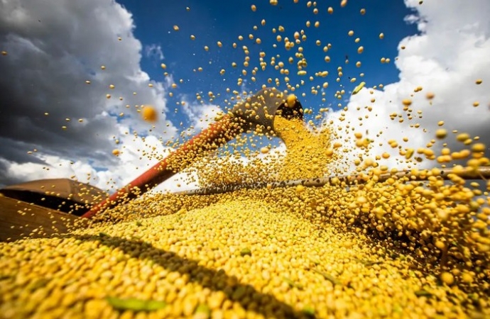 Conab aponta que Brasil deve produzir 299,27 milhões de toneladas de grãos na safra 2023/2024