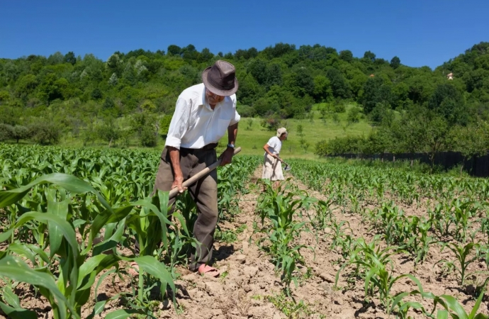 Conab realiza chamada pública para compra de alimentos da agricultura familiar