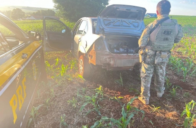 Motorista abandona carro com 300 quilos de maconha em plantação de milho no interior do Paraná