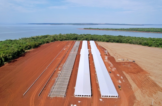 Obras estruturais dos blocos para produção de ovos férteis avançam em Itaipulândia