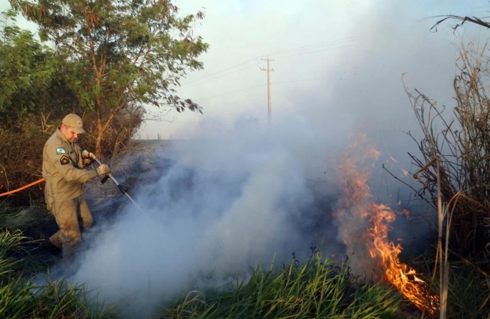 Paraná está em alerta para incêndios florestais e onda de calor