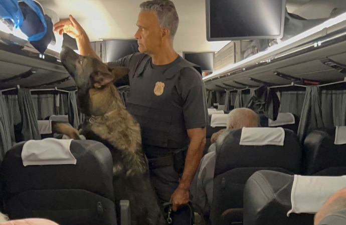 PF prende passageiro com haxixe e anabolizantes em ônibus intermunicipal