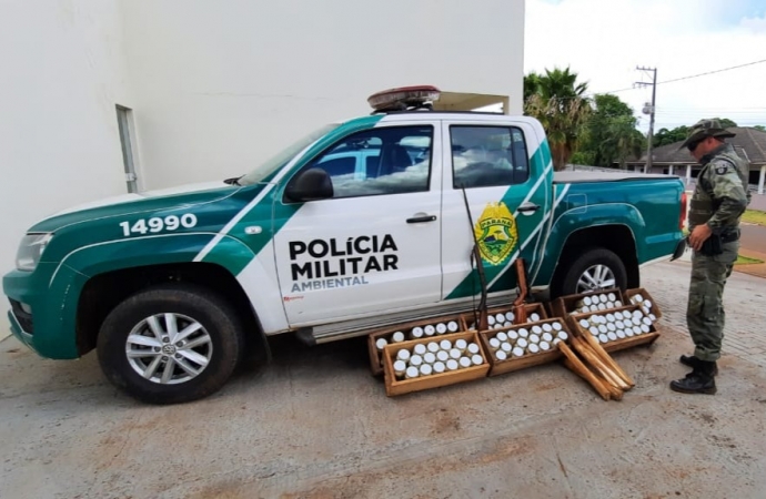 Polícia Militar Ambiental encontra fábrica de palmito clandestina próximo ao Parque Nacional do Iguaçu