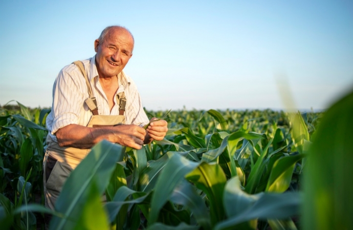 Projeto muda regra para incluir produtor rural como segurado especial da Previdência