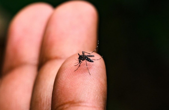 Serranópolis do Iguaçu registra primeiro óbito por dengue