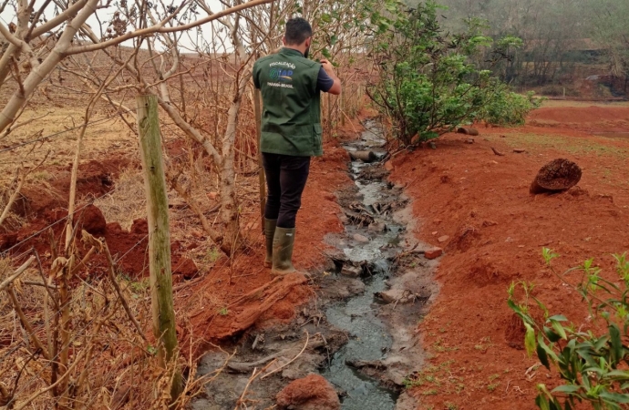 Suinocultor é multado em R$ 100 mil por infração ambiental em córrego de Toledo