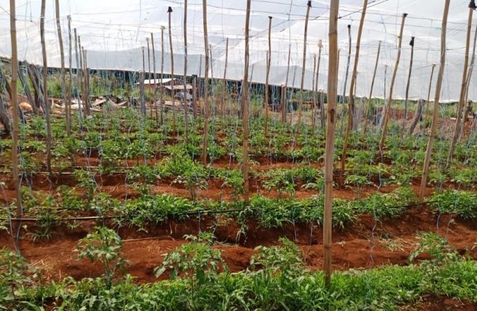 Transferência de renda melhora a produção e a vida de agricultores familiares