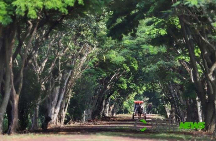 Turismo rural é opção para aumentar a renda no campo