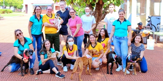 1ª ADOCÃO encanta moradores de Itaipulândia e nove cães são adotados