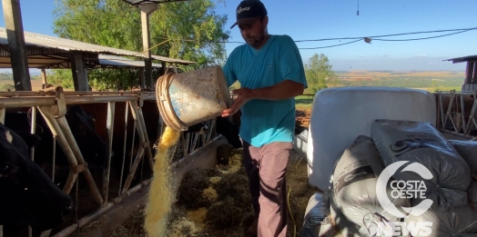 Agroforte está transformando a realidade dos produtores rurais em Itaipulândia