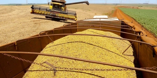 Alta de 15,7% na agropecuária reduz impacto da pandemia sobre o PIB