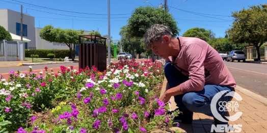 Avenida Will Bart: Paisagismo Revitaliza Espaço Urbano em São Miguel do Iguaçu