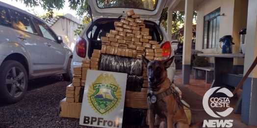 BPFron apreende mais de 200 kg de maconha em Santa Helena e detém uma pessoa