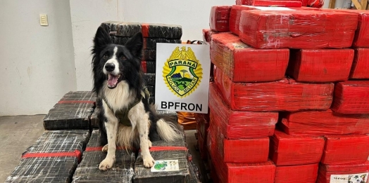 BPFron apreende mais de uma tonelada de droga em Santa Helena