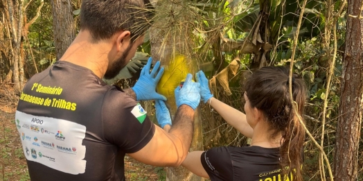 Caminhos do Peabiru em Foz do Iguaçu recebe sinalização rústica, próxima etapa é implantar placas turísticas