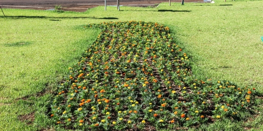 Canteiros de flores ganham cor em Serranópolis do Iguaçu