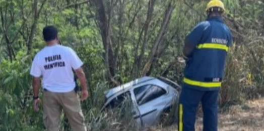 Carro atinge árvore, cai em ribaceira e motorista morre na PR-182, em Palotina