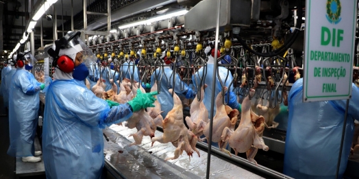 Com alta de 31,7%, carne de frango in natura foi o produto mais exportado pelo Paraná em 2022